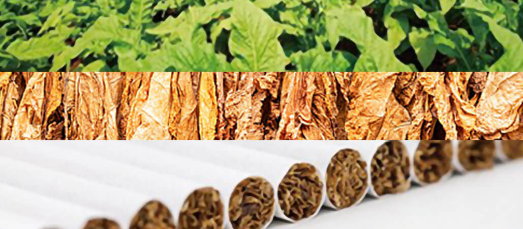 烟草自动化包装1.jpg